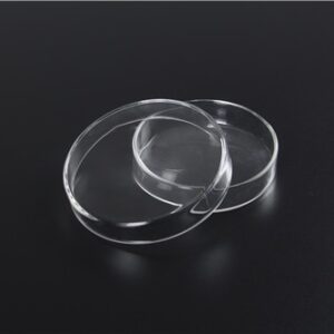 Hộp petri 120 x 25mm Genlab
