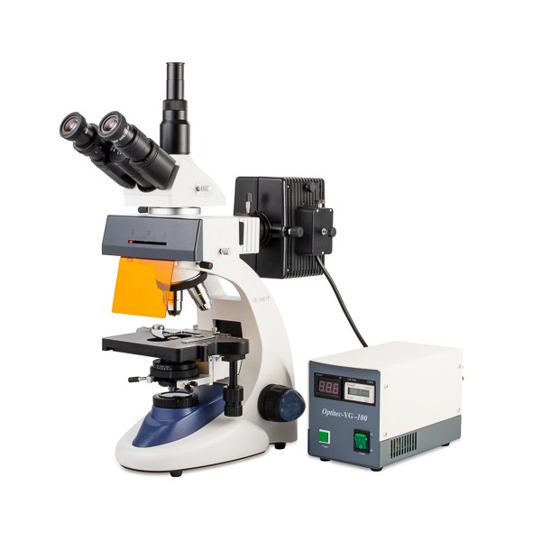 Kính hiển vi huỳnh quang 3 mắt VE-146YT Velab