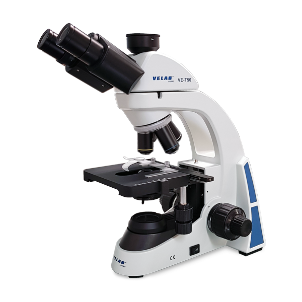 Kính hiển vi ba mắt VE-T50 Velab